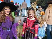 DSC 0800- web
